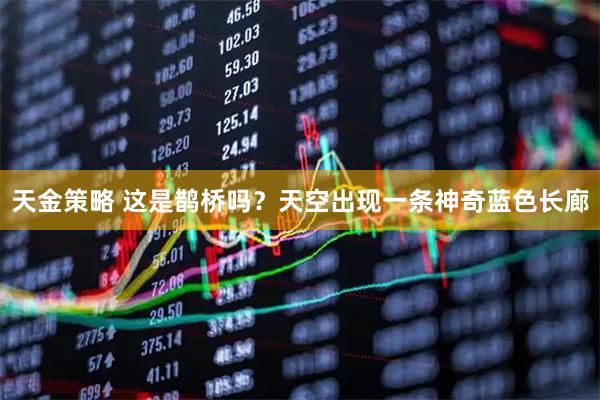 天金策略 这是鹊桥吗？天空出现一条神奇蓝色长廊