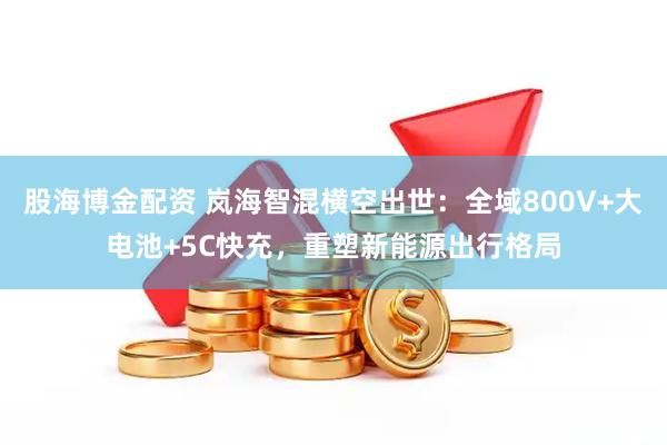 股海博金配资 岚海智混横空出世：全域800V+大电池+5C快充，重塑新能源出行格局