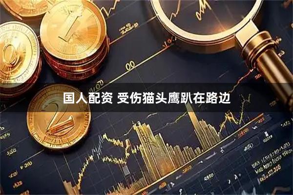 国人配资 受伤猫头鹰趴在路边