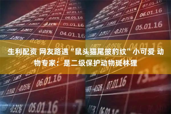 生利配资 网友路遇“鼠头猫尾披豹纹”小可爱 动物专家：是二级保护动物斑林狸