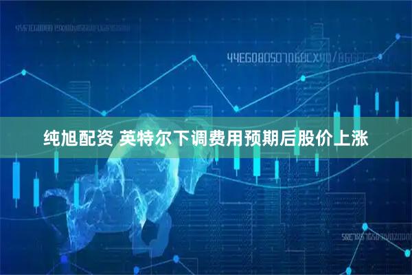 纯旭配资 英特尔下调费用预期后股价上涨