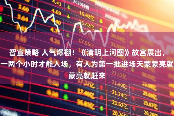 智宣策略 人气爆棚！《清明上河图》故宫展出，排队一两个小时才能入场，有人为第一批进场天蒙蒙亮就赶来