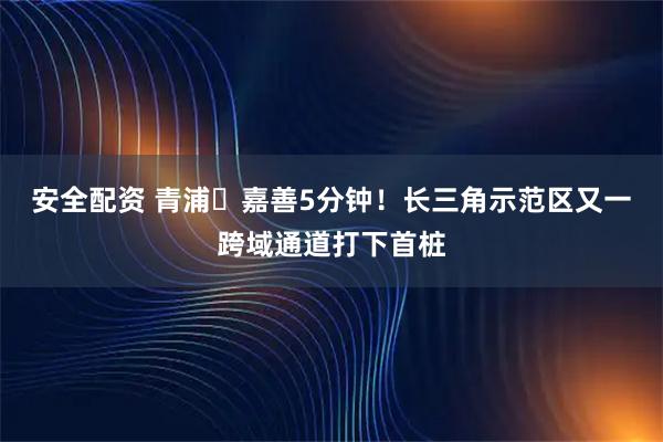 安全配资 青浦⇌嘉善5分钟！长三角示范区又一跨域通道打下首桩